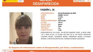 Cartel del Centro Nacional de Desaparecidos con los datos de la joven desaparecida.