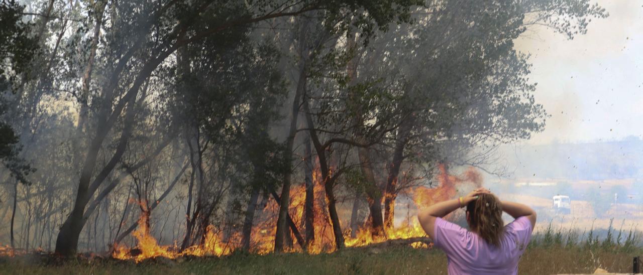 Incendio forestal registrado en la comarca de Tábara.