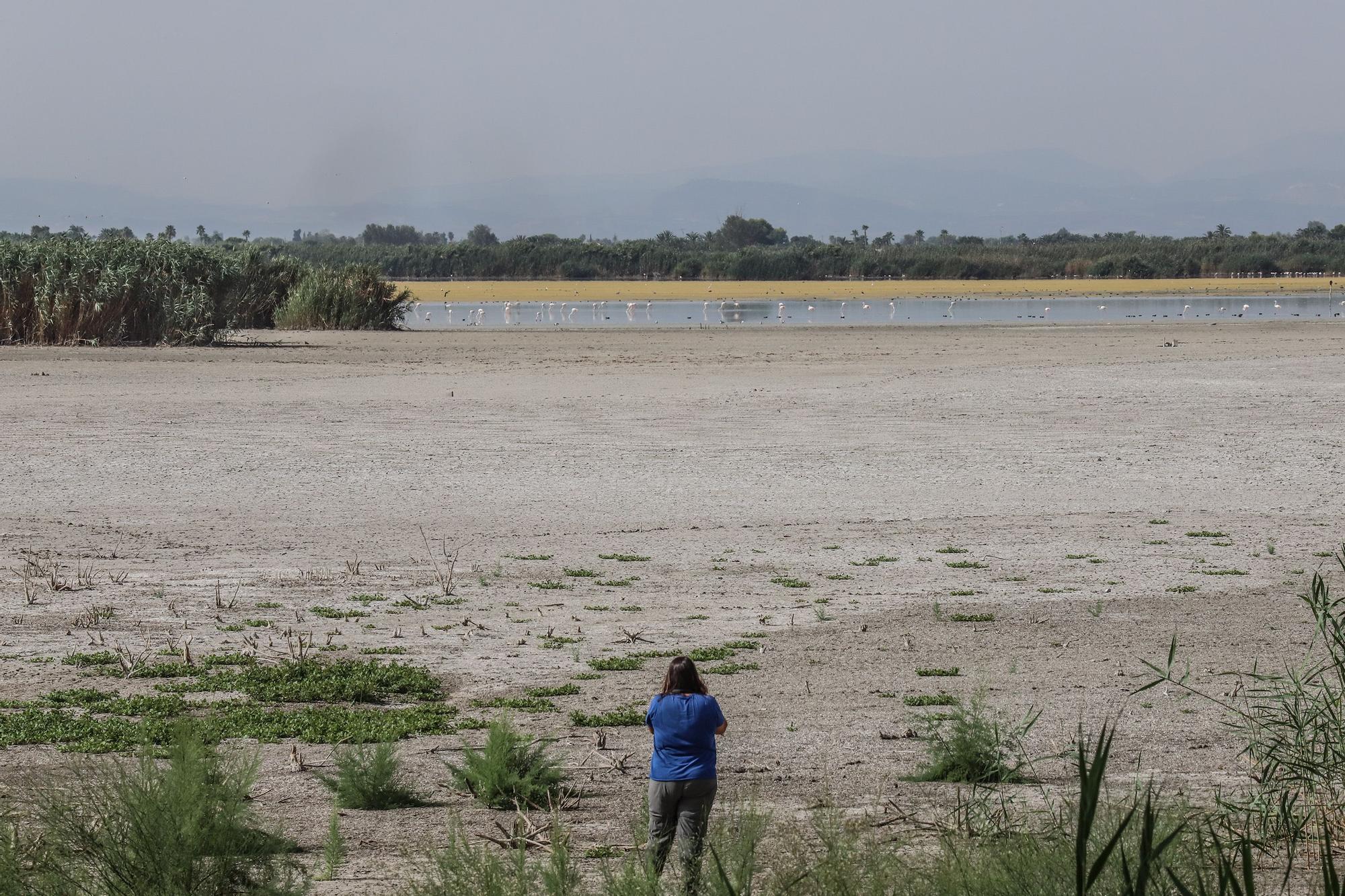 El Hondo deseca sus dos embalses para regenerar el agua