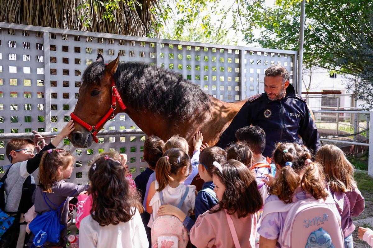 La unidad de caballería de la Policía Local de Córdoba cumple 150 años