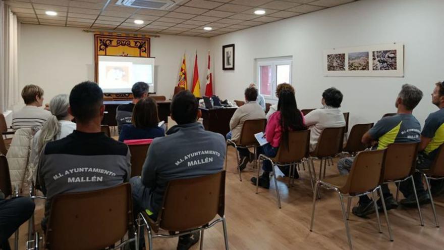 El personal del consistorio asistió a una sesión formativa.  | SERVICIO ESPECIAL