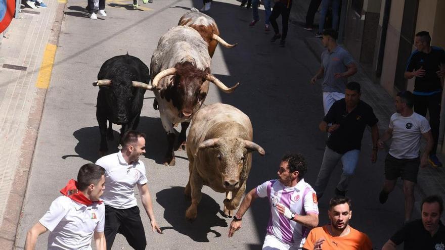 Almassora no tendrá encierro en las fiestas de Santa Quitèria por &quot;responsabilidad financiera&quot;