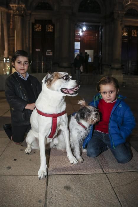 Oviedo bautiza a sus perros por el día de San Antón