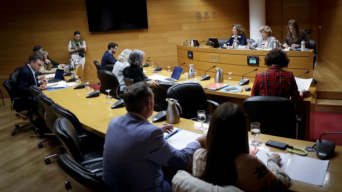 La comisión de las Cortes en la que se debatió este martes sobre los macrodepósitos