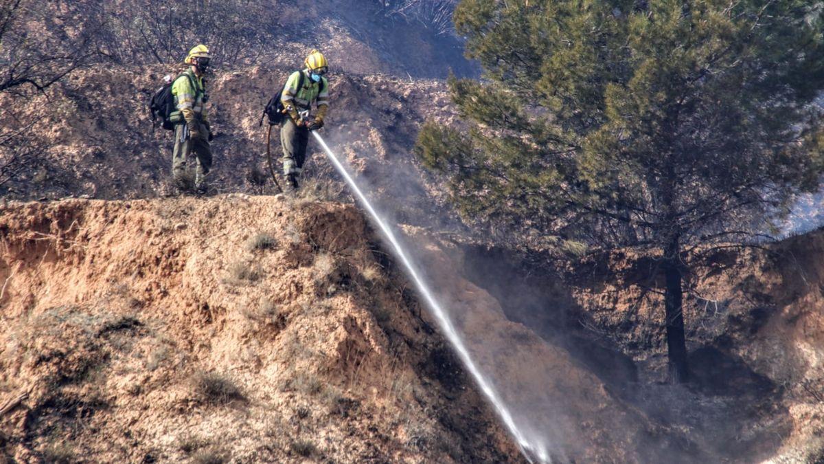 Controlado el incendio forestal declarado en la zona de Gormaget de Alcoy JUANI RUZ