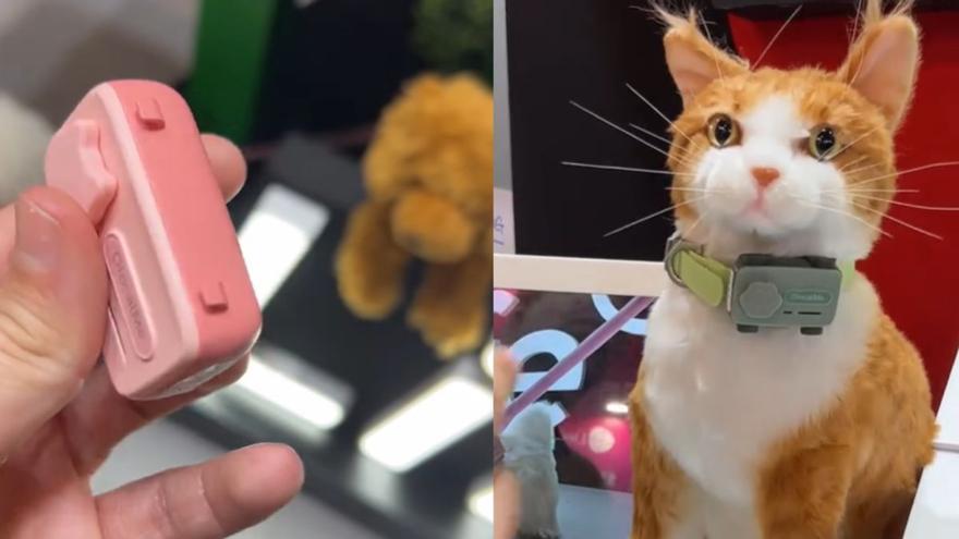 PetPhone: así es el primer móvil para mascotas con el que podrás llamar a tu perro o a tu gato