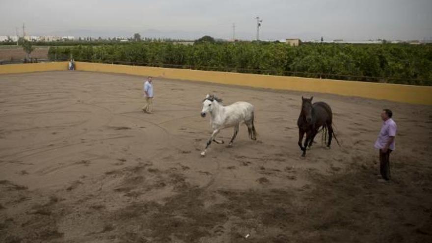 Territorio estudiará reducir el tamaño mínimo de las cuadras