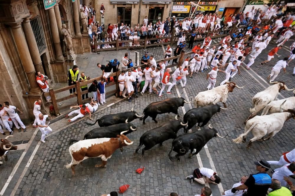 Los toros de Jandilla protagonizan el cuarto ...