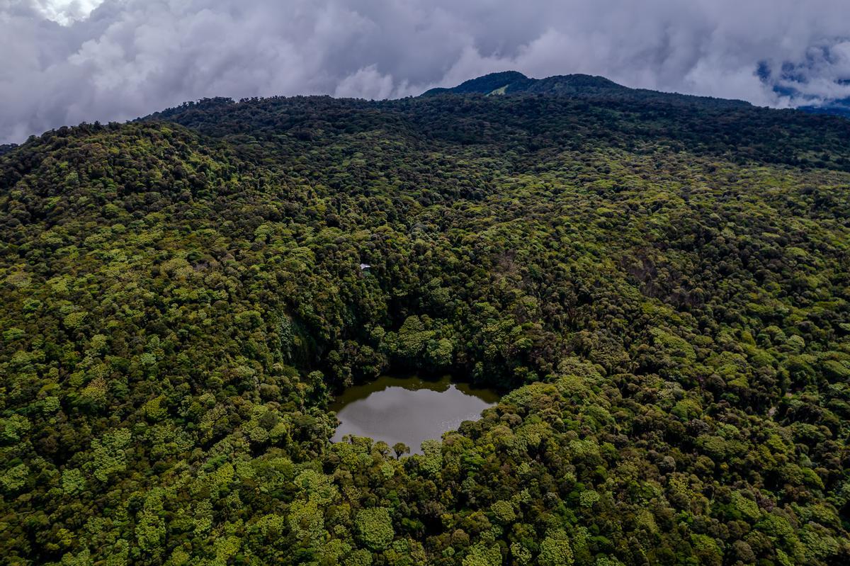 Parque Nacional de Braulio Carrillo, en Costa Rica