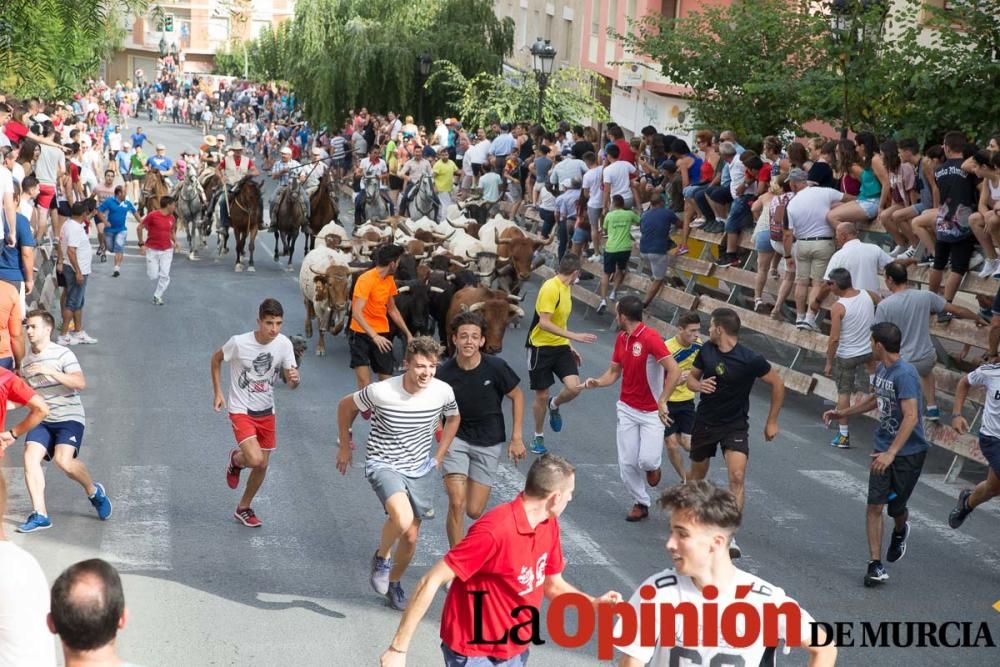 Séptimo encierro en Moratalla