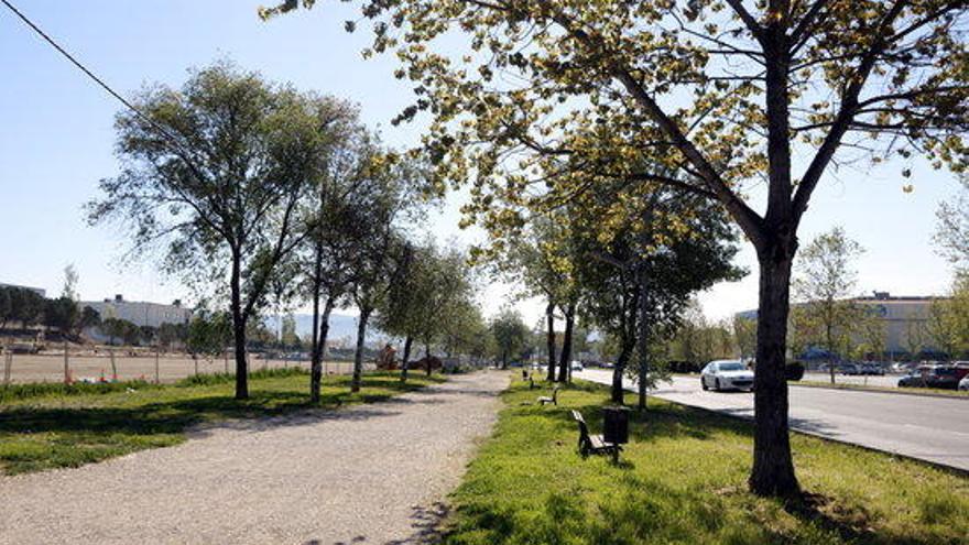 Avancen a bon ritme les obres perquè Igualada disposi d&#039;un gran pulmó verd