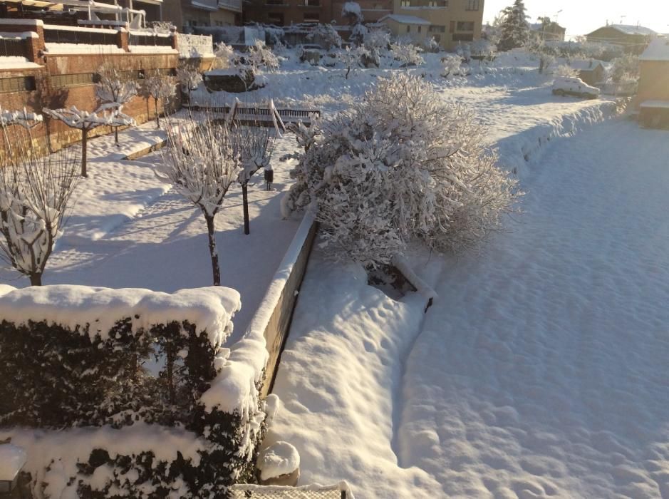 Paisatge matinal nevat a la Catalunya Central