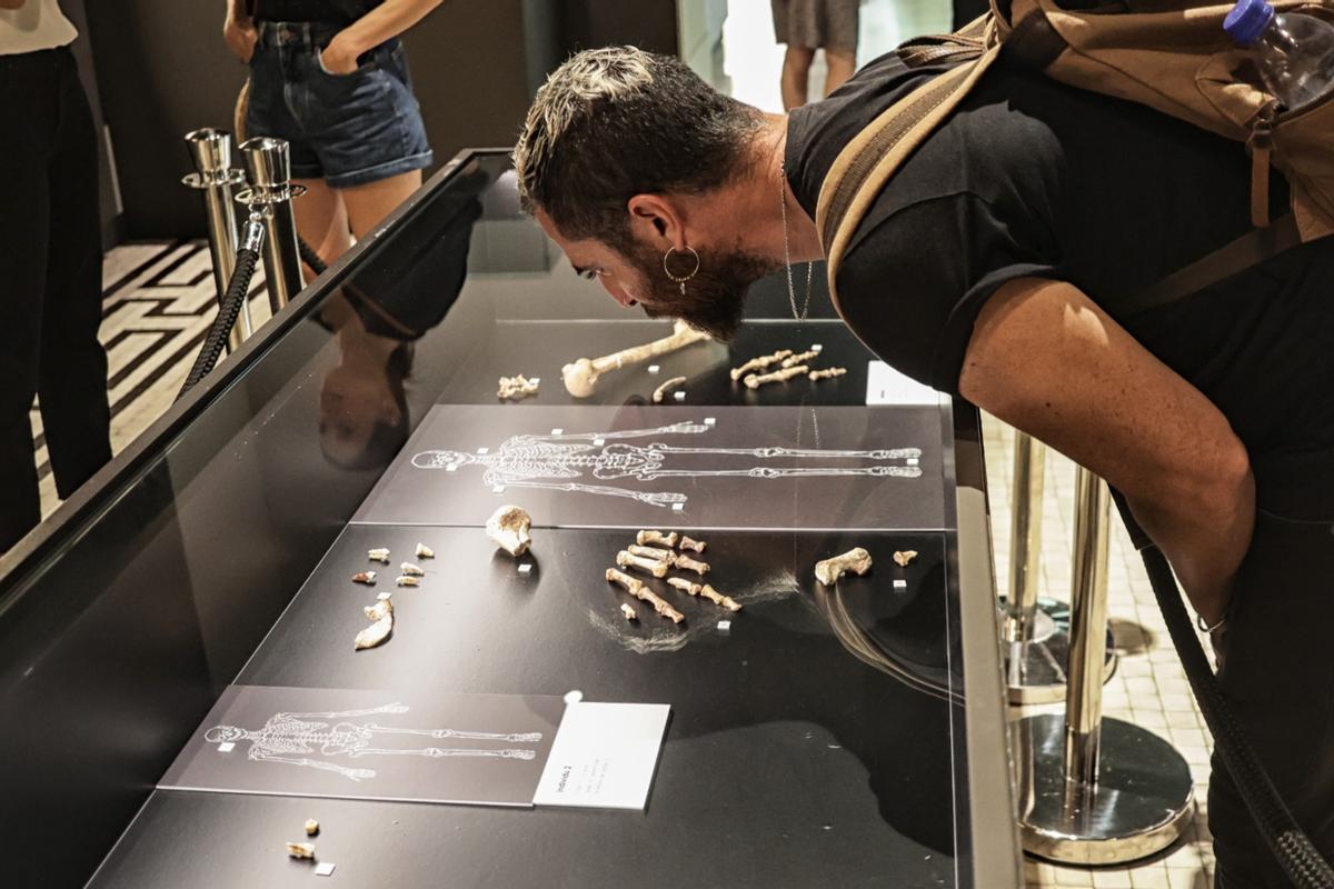 Troballa neandertal digna d’Indiana Jones en un magatzem del museu arqueològic de Barcelona