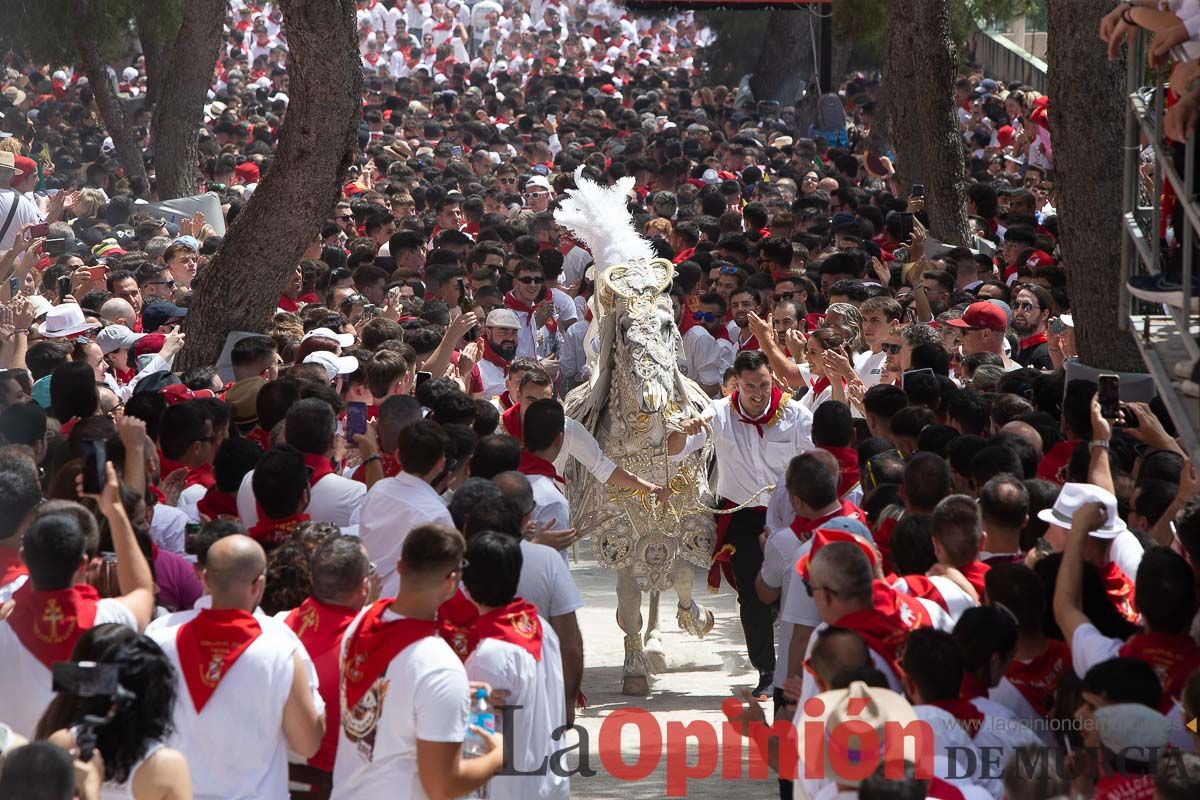 Así ha sido la carrera de los Caballos del Vino en Caravaca