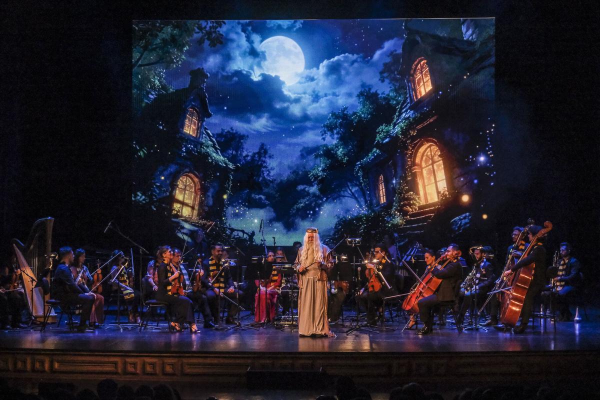 Concierto 'Harry Sinfónico' en el Teatro Pérez Galdós