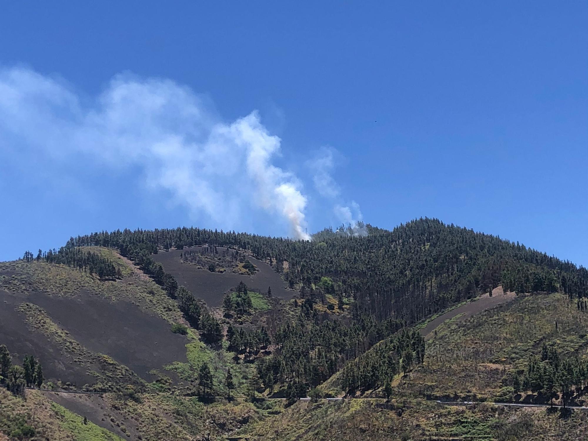 Quemas prescritas en la cumbre de Gran Canaria (30/05/21)