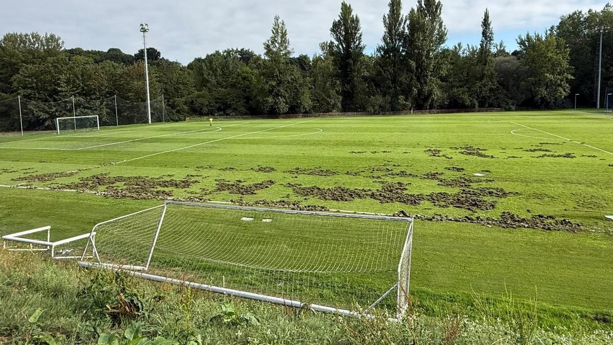 El campo número 5 de El Requexón esta mañana.