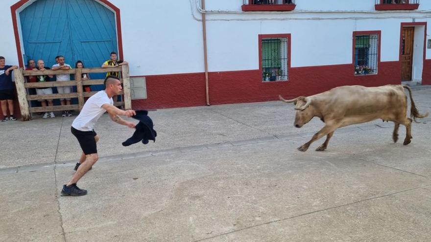 Los festejos taurinos no faltaron en la programación. |