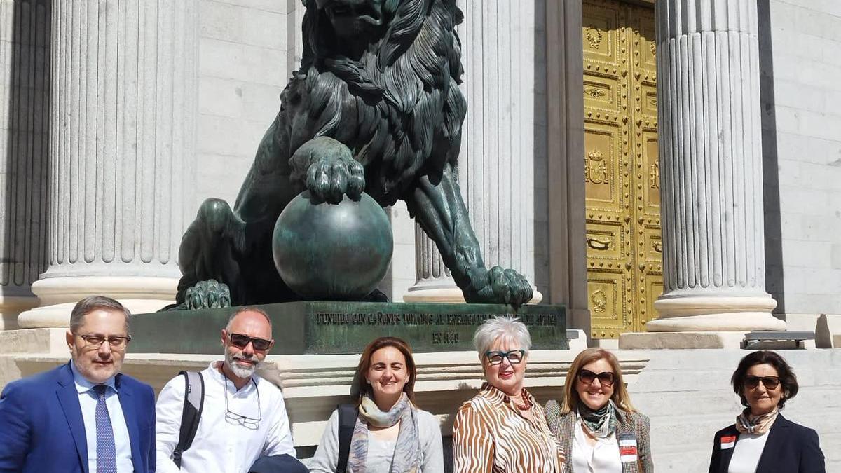 El grupo de afectados de Barro, frente al Congreso.