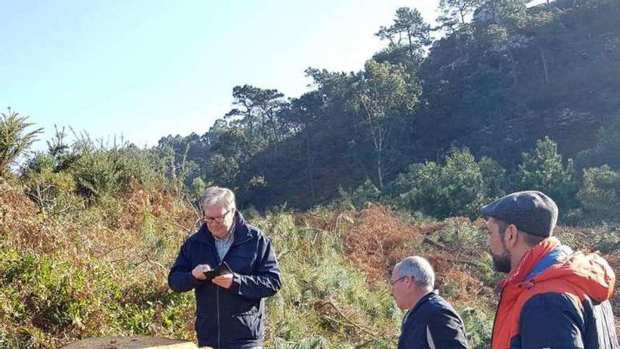 Arriba, Tomás Emilio Díaz, el edil naviego Marino Fernández y José Ignacio Alonso, analizando uno de los pinos. Sobre estas líneas, uno de los transportes, con la madera.