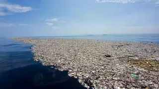 Aguas internacionales: un cementerio de plásticos sin ley que mata las aves marinas