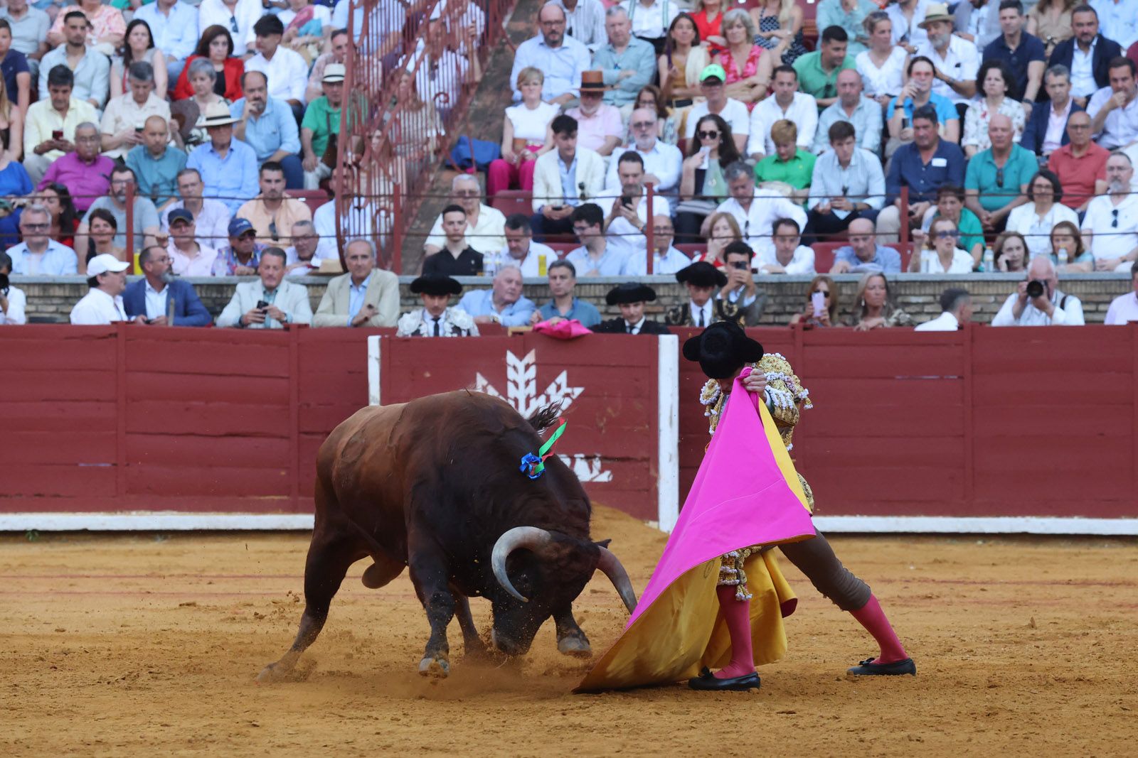 Román toma la alternativa y la puerta grande se abre para Roca Rey y Ortega