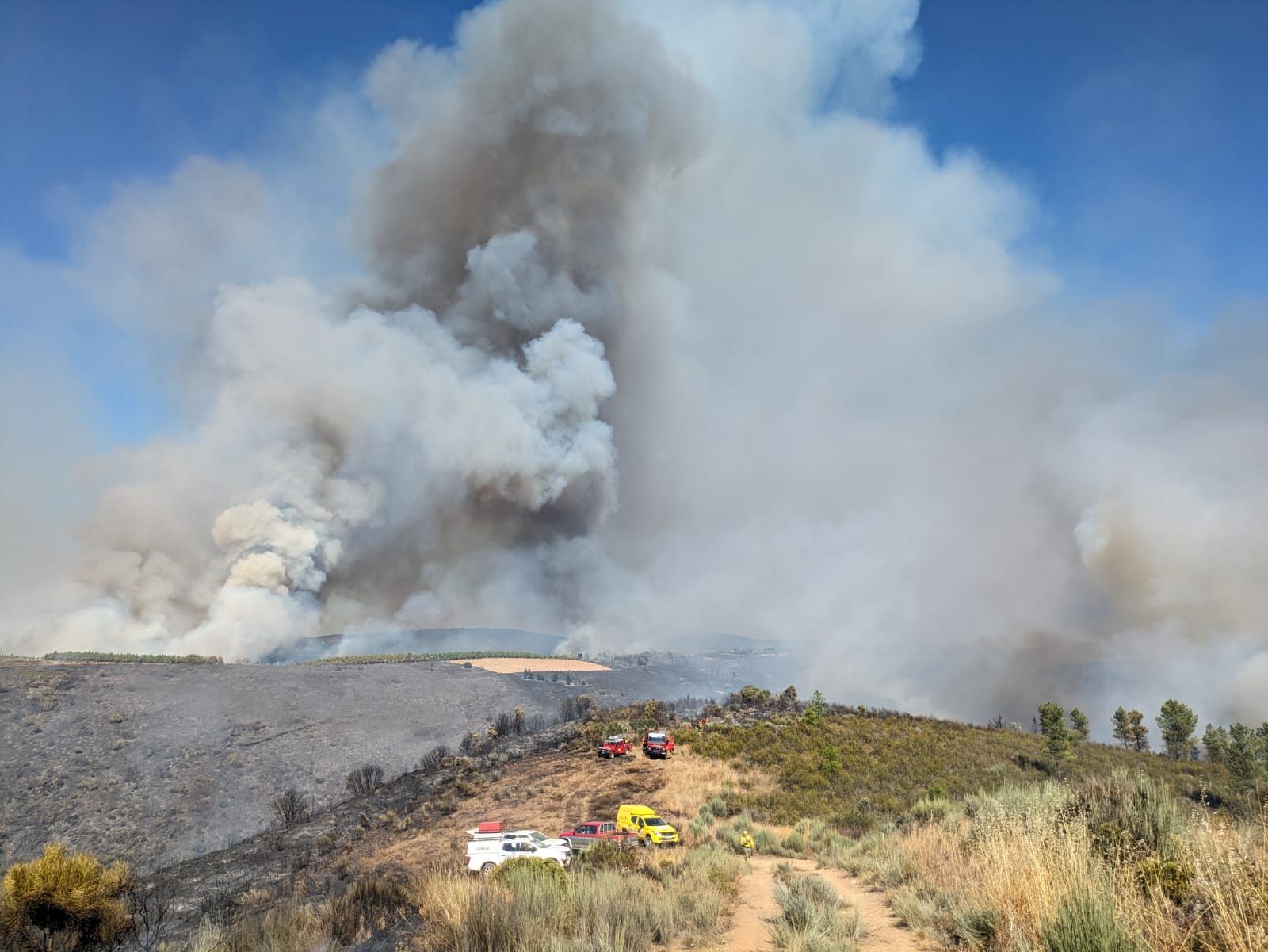 GALERÍA | Incendio en Argozelo, Portugal, junto a la frontera con Zamora