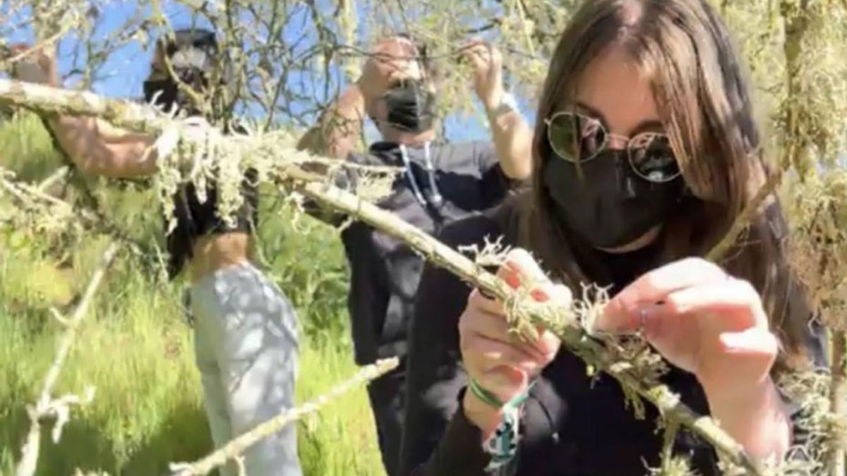 Varios alumnos recogiendo muestras. | E. P.