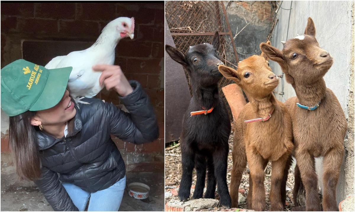 Andrea junto a su gallina María y sus cabras Marisa Vicenta y Concha