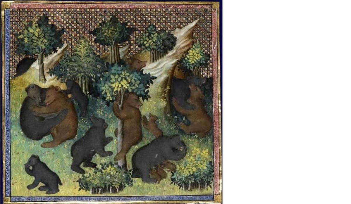 Osos pardos representados en el Livre de la Chasse de Gaston Phébus, S. XV