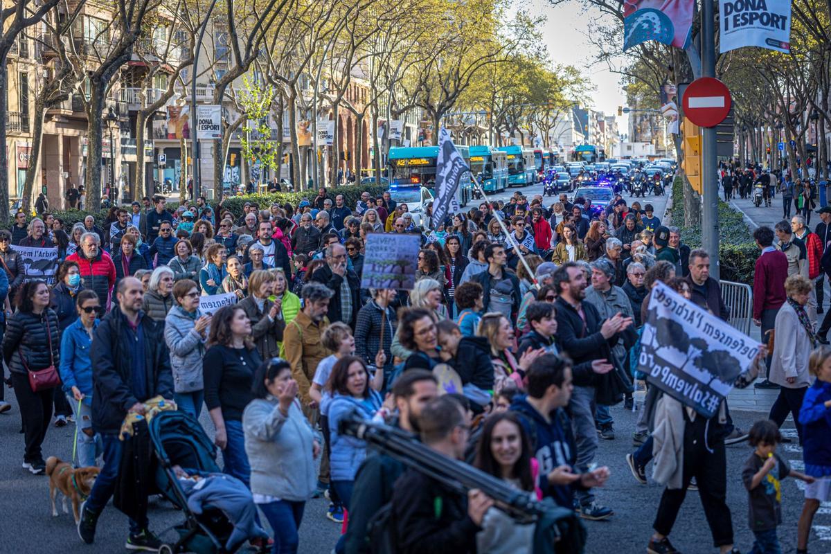 Los vecinos del parque Joan Miró vuelven a pedir que se mantenga la arboleda