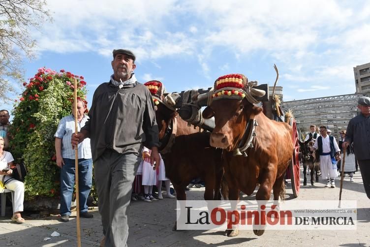 Desfile del Bando de la Huerta (2)