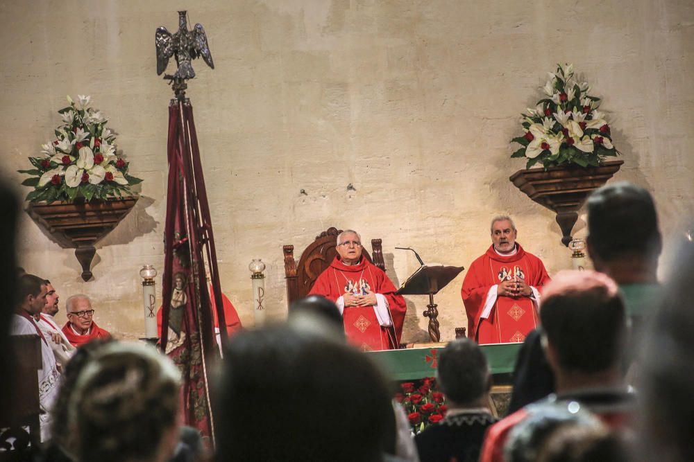 El día del Pájaro en Orihuela