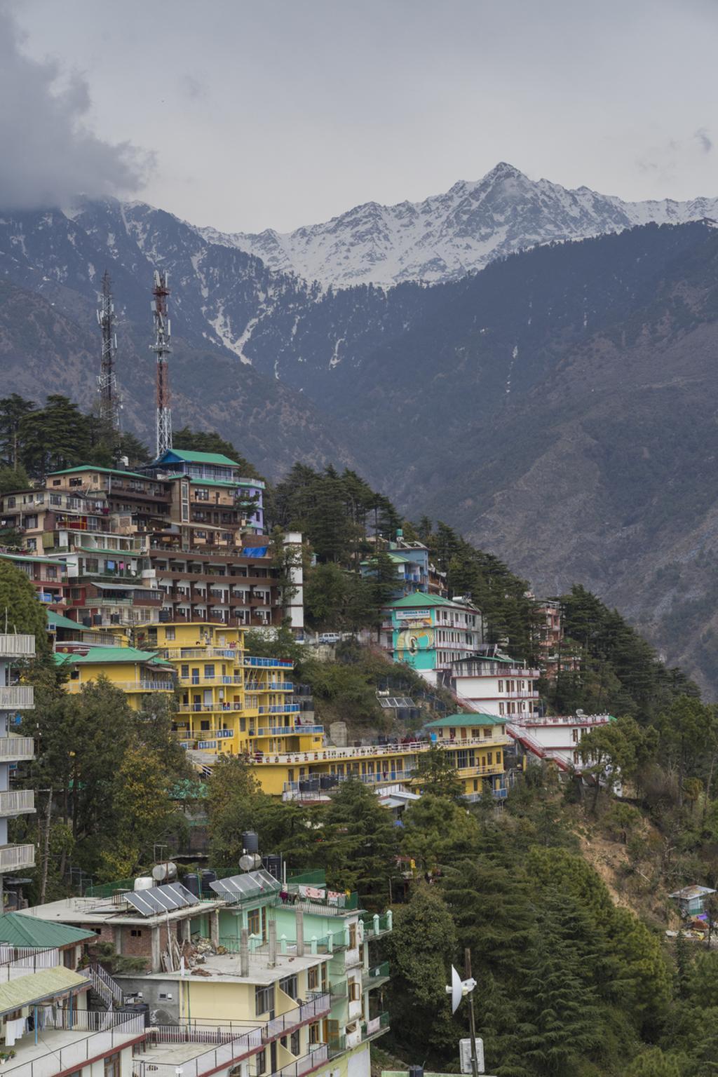 Dharamsala con el Himalaya detrás