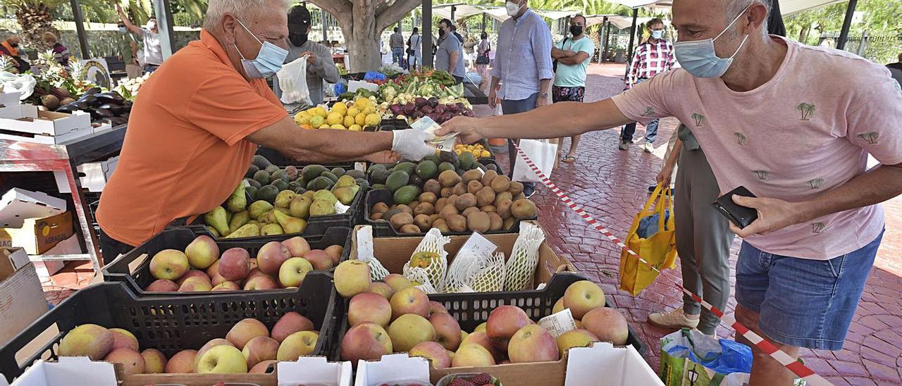 Agricultores venden sus roductos en el mercado de San Lorenzo. . | | ANDRÉS CRUZ