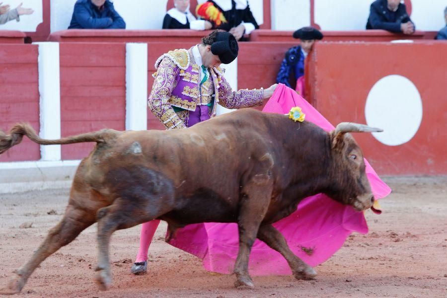 Tarde de toros en Zamora