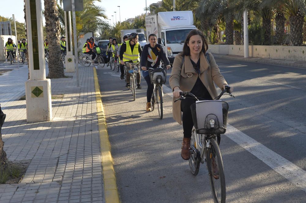 El carril bici en la avenida de la universidad