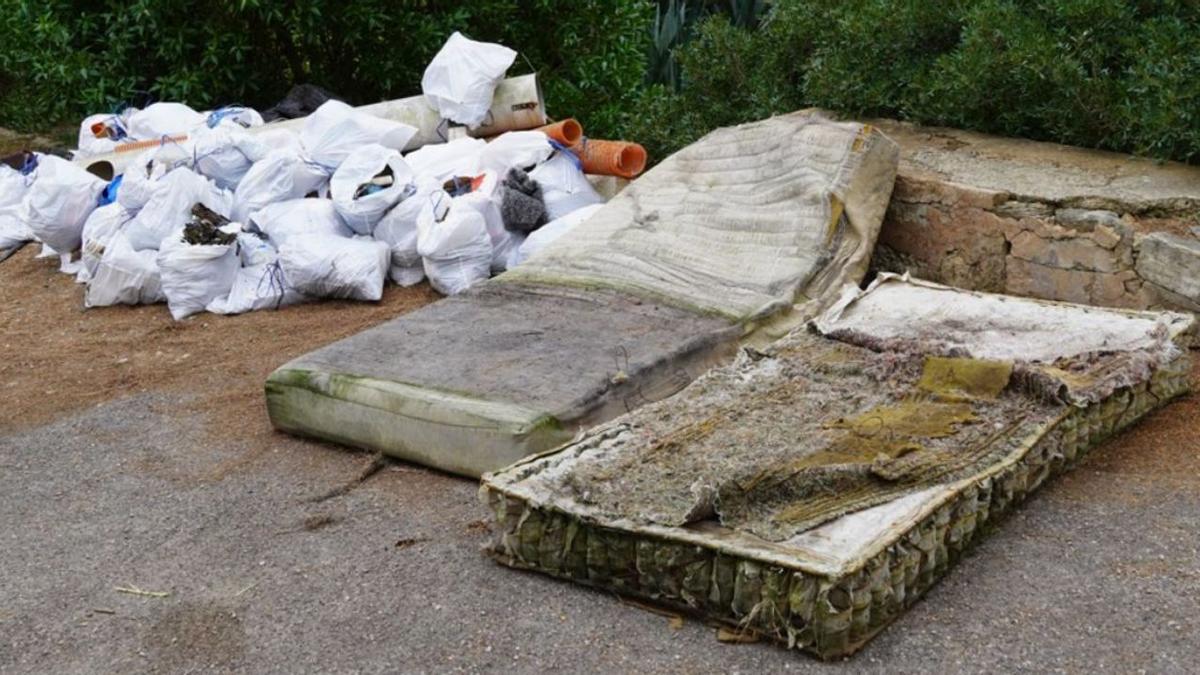 Algunos de los residuos que retiraron ayer los alumnos de La Porciúncula en el bosque.