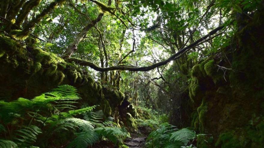 Talleres de senderismo para unir a la juventud con la naturaleza