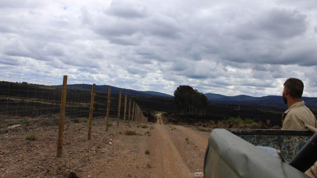 Red de caminos de Codesal