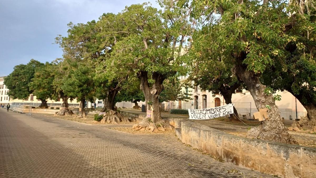 El vallado que instaló el Ayuntamiento de Palma en la plaza Llorenç Villalonga ya no está.