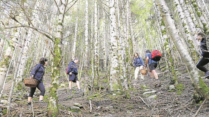 Los ‘boletaires’ miran al cielo