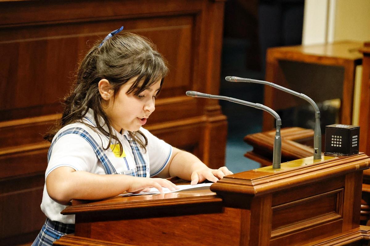 Escolares en el Parlamento de Canarias
