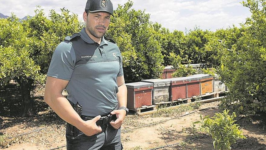 Castellón registró más de 1.500 robos de colmenas el año pasado