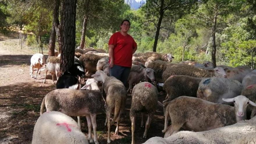 Míriam Ramírez amb les ovelles del ramat del Cal Pujolet, amb el qual està fent el seu aprenentatge