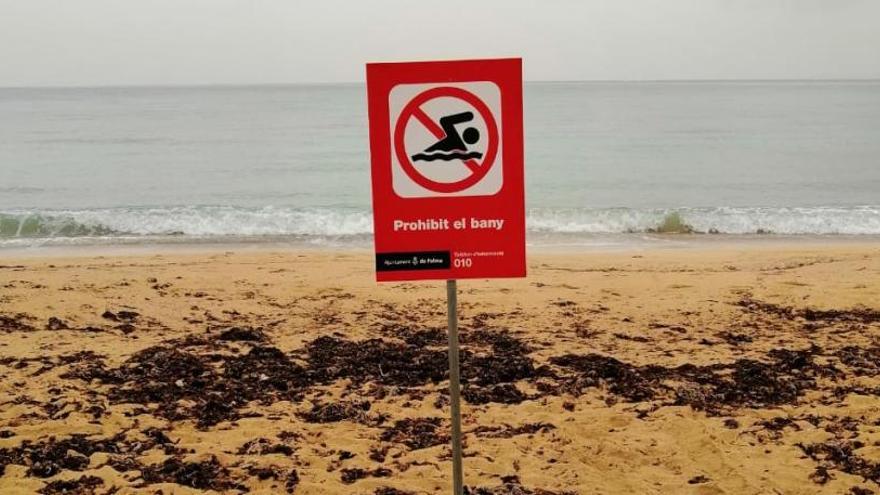La playa de Can Pere Antoni acumula cien días de cierre por vertidos fecales