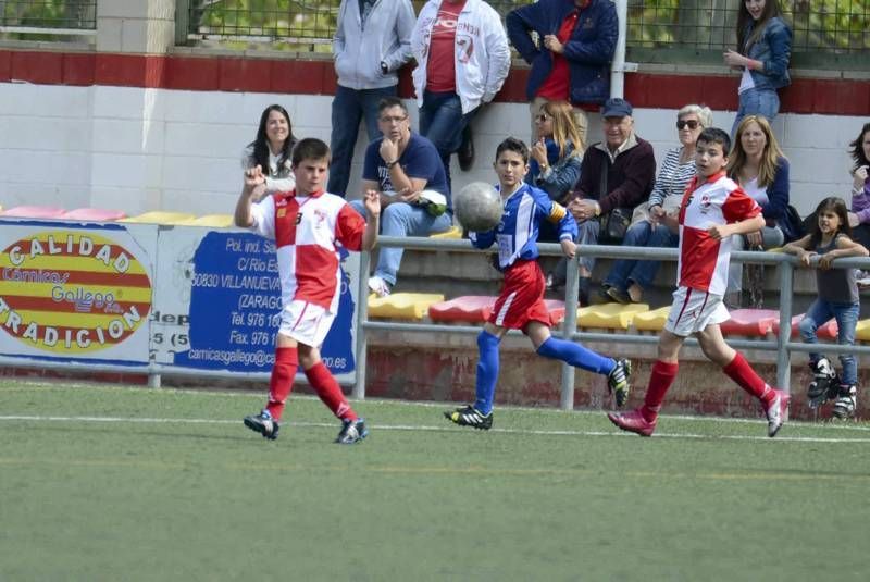 FÚTBOL: Hernán Cortés - San Gregorio (1ª Alevín grupo 2)