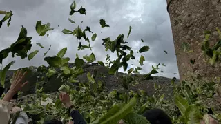 Una lluvia verde (y sostenible) en Villena