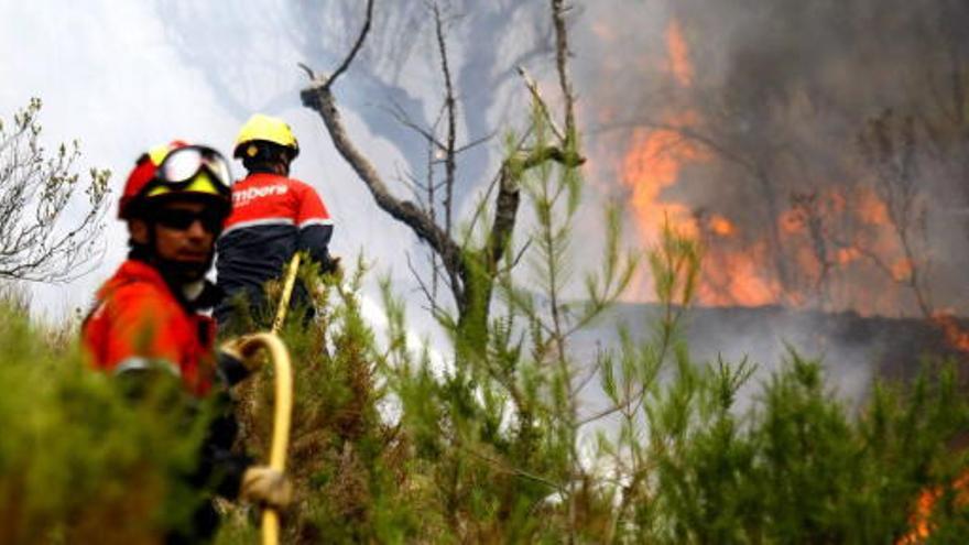 Bomberos trabajan en las labores de extinción en La Torre de les Maçanes.