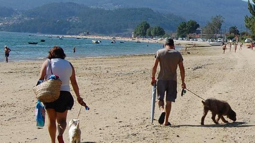 Unas personas pasean a sus mascotas en la zona habilitada para perros en la playa de Cesantes. // FdV